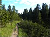 Rifugio Pederü - Rifugio Sennes